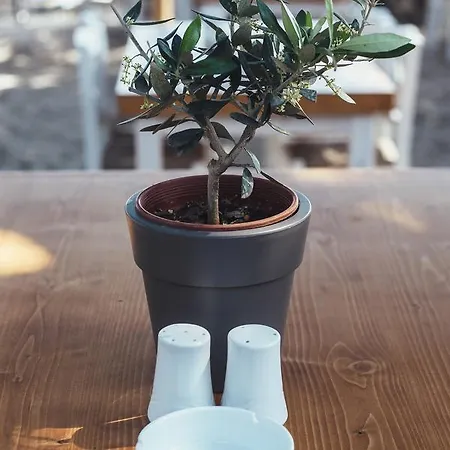 Ξενοδοχείο με διαμερίσματα Psili Ammos Seaside Luxury