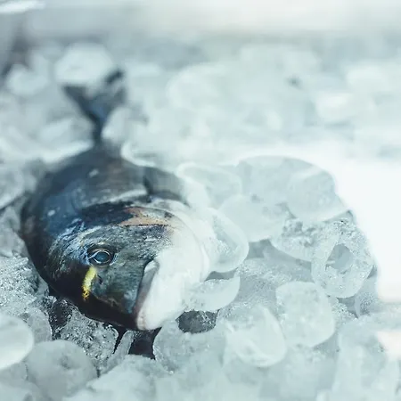 Aparthotel Psili Ammos Seaside Luxury Astris